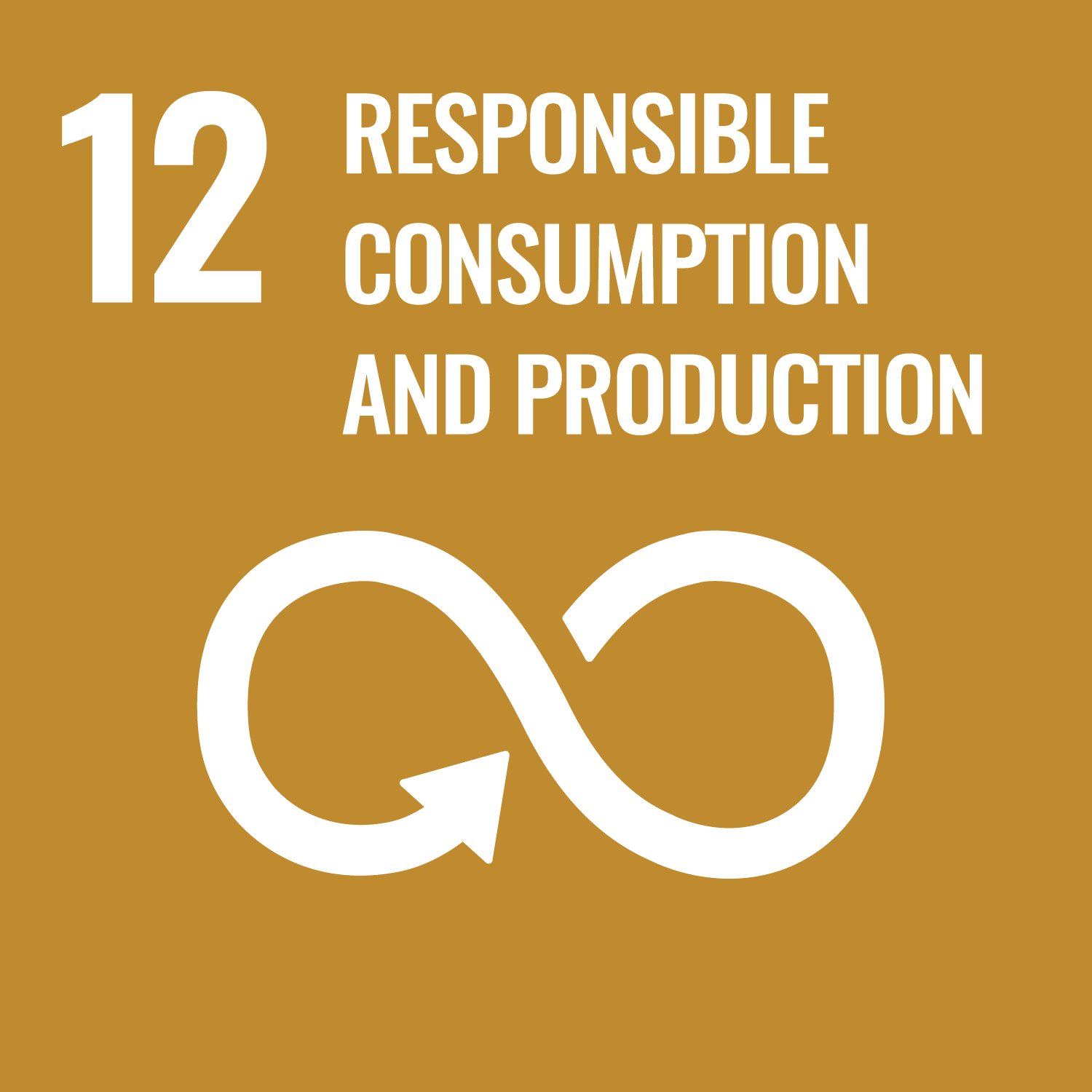 UN SDG 12